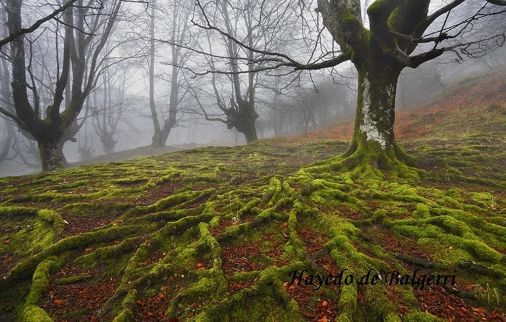 Готель Gailurretan Карранса Екстер'єр фото